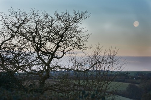 From my office window 25 02 16