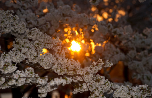 Spring3