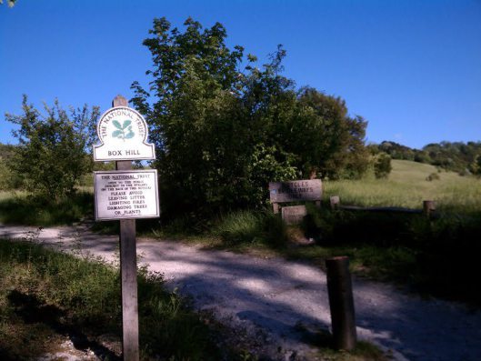 Box Hill
