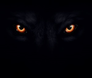 __wolf_eyes___by_fullmetal_fox