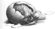 Dragon hatchling by Alan Lee
