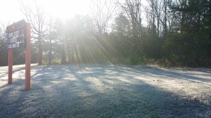 Sunbeams kiss frosty winter grass