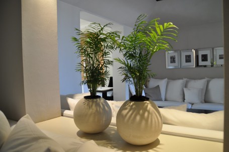 aging well, positive aging, baby boomer