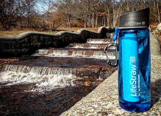 LifeStraw Go