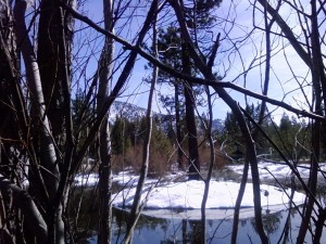2016-02-24 13.22.51