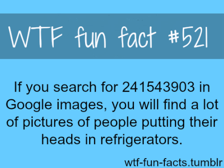 tumblr_mc04uqzGr71roqv59o1_500