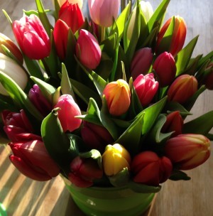 Tulpaner från Hötorget igår. Så gudomligt.