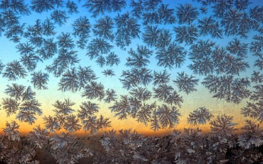 frost fgractals