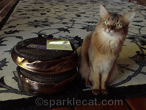 Somali cat posing with Neko Pawdz tunnels in packaging
