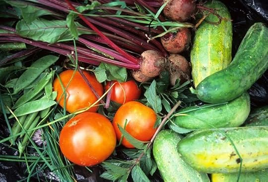 The garden of an empty nest