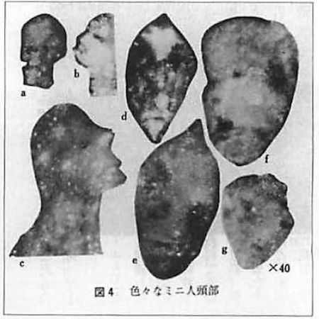 okamura-photomicrophraph