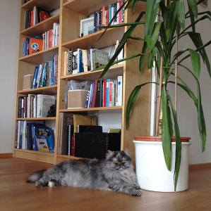 2016 pushka and books