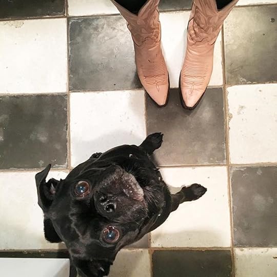 12724859_1698744243721871_629661038_n