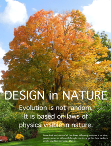 Design in NAture - KOGAINON