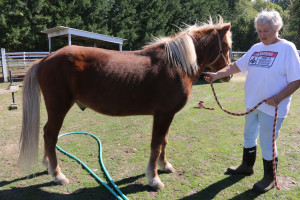 Rosti: Taking a Risk