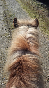 Rosti: Taking a Risk