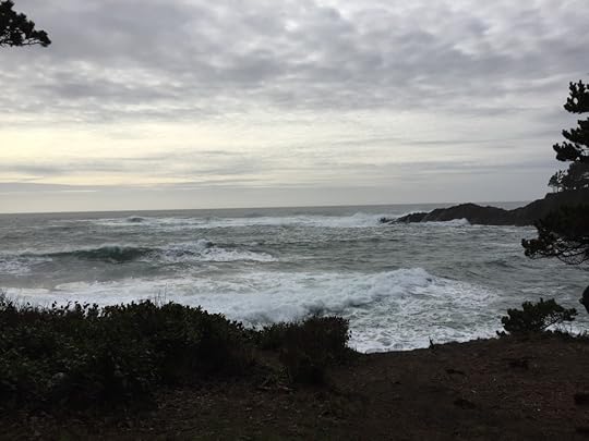 2016-02-27 Oregon coast