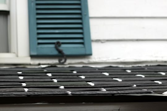 Tiny lines of snow between the