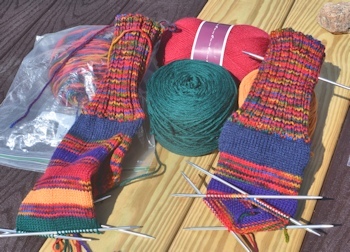 Bitterroot-progress-2-29-16