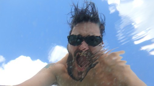 HI FISHES I'M A BIG DUMB PRIMATE WANT TO PLAY