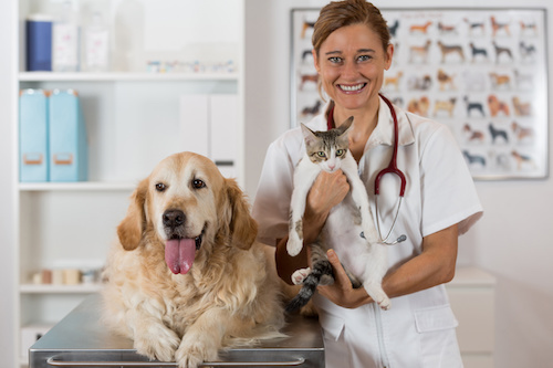 If Pets Were Patients.jpg