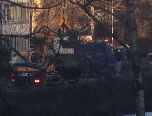 Några till. De ser så harmlösa ut så här på en suddig bild, men de är ONDA.