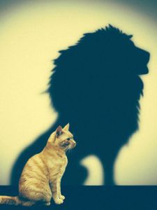 Think Big