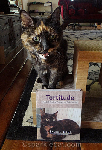 tortoiseshell cat meowing with Tortitude book