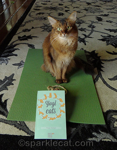 somali cat posing with feline yogi mat and yogi cats book