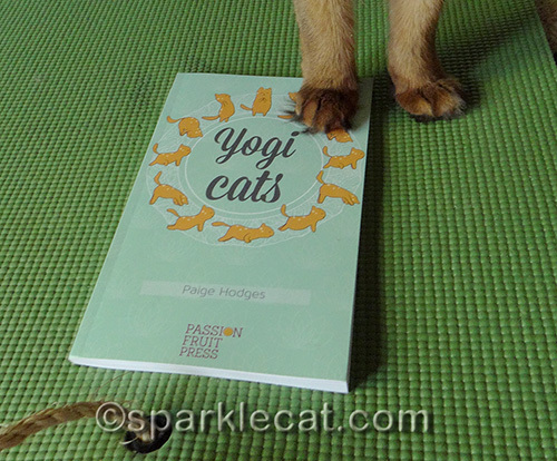somali cat paw on a copy of Yogi Cats
