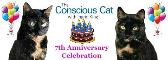 blog-anniversary