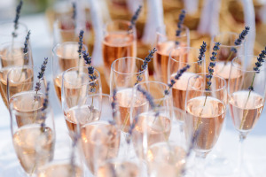 placid rose-pink-champagne-party1
