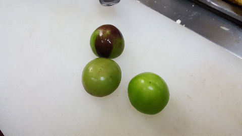 160301tomatillos