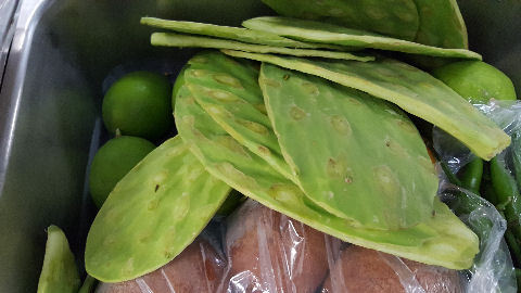 160301nopales