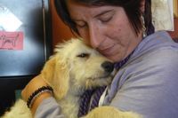 Assistance DogsWestSF-