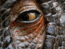 Dinosaur eye