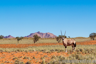 NamibRand Nature Reserve, Namibia