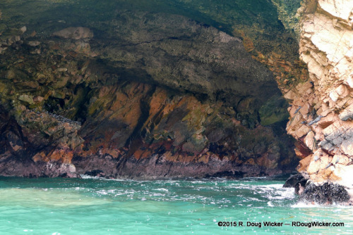 Ballestas color