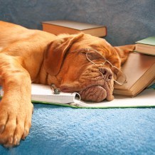 Everyone can join in the Family Read-A-Thon!