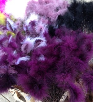 På Norrmalmstorg hade de lila dunvippor.