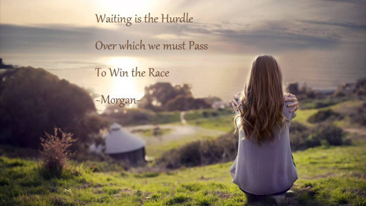The Hurdle