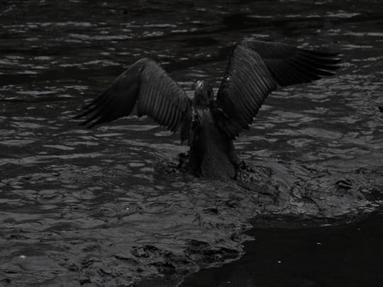 DSCN2149
