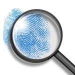 seeking-your-ideal-client