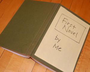 Self-Published-novel