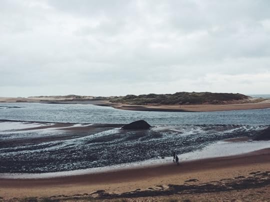 Alison Beach