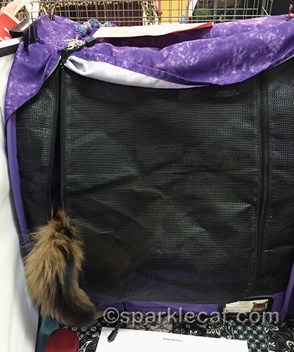 Somali cat tail sticking out of Sturdi enclosure