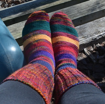 Bitterroot-finished2