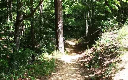 Natchez Trace