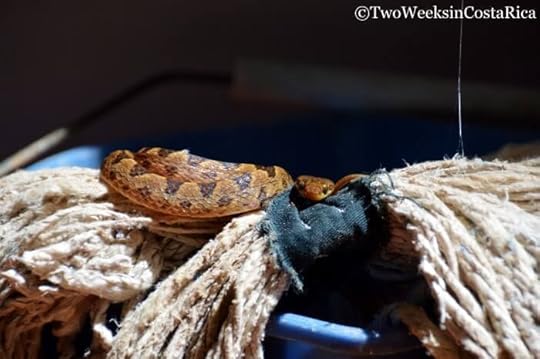 Where to Live in Costa Rica: Planning Your Research Trip