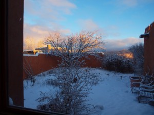 P1012989
